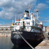 Lethallah II Batumi_small