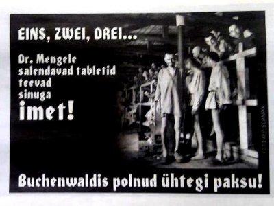 The Rising Tide of Neo-Nazism2.jpg